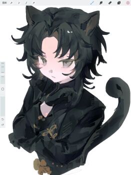 1boy a_yan_(meng_renjian) absurdres animal_ears art_program_in_frame black_gloves black_hair black_jacket black_shirt cat_boy cat_ears cat_tail chinese_commentary commentary_request curtained_hair gloves grey_eyes highres jacket liningne long_sleeves medium_hair meng_renjian open_clothes open_jacket parted_bangs procreate_(medium) procreate_(software) shirt short_hair simple_background solo tail white_background