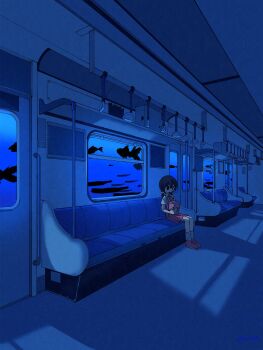 1girl adversarial_noise black_hair dress fish hair_bobbles hair_ornament hashtag-only_commentary highres kaai_yuki low_twintails medium_hair red_dress red_shoes shirt shoes short_dress short_sleeves short_twintails sitting sn_(sn_utu00) socks solo surreal train_interior twintails underwater vocaloid white_shirt white_socks wide_shot