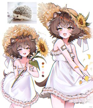 1girl :3 absurdres animal_ears bandaid bandaid_on_arm brown_hair collarbone cowboy_shot dress fang feet_out_of_frame flower frilled_dress frills hair_between_eyes hat haze_(7h4ze) hedgehog hedgehog_girl highres holding holding_flower looking_at_viewer medium_hair multiple_views open_mouth original personification photo_inset simple_background sleeveless sleeveless_dress solo spaghetti_strap straw_hat sunflower sunflower_hat_ornament translation_request white_background white_dress yellow_eyes