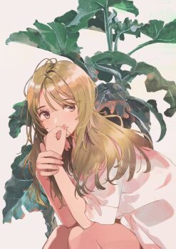 Rule 34 | 1girl, brown eyes, brown hair, fly (marguerite), highres, long hair, original, plant, shirt, short sleeves, simple background, solo, white background, white shirt