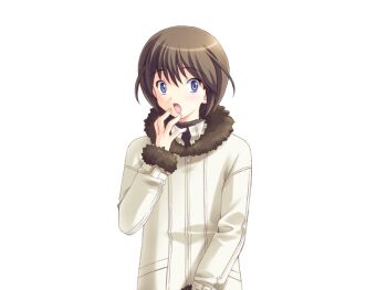 age_difference antenna_hair blue_eyes blush brown_hair coat game_cg hand_on_own_face kuroda_akimi non-web_source official_art onee-shota open_mouth short_hair shota skinny surprised tsubaki_kyouya tsuma_shibori tsumamigui_(series) white_coat wide-eyed winter_clothes winter_coat