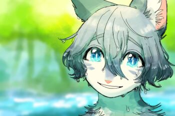 animal animal_focus animal_with_hair blue_eyes blurry blurry_background bob_cut cat commentary_request grey_cat grey_hair hair_between_eyes highres looking_at_viewer neko_gokoro no_humans outdoors portrait silverstream_(warrior_cats) smile solo the_prophecies_begin warrior_cats water wet wet_hair