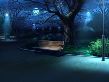 artist_request bare_tree bench bush cloud dark game_cg grass lamppost magia_record:_mahou_shoujo_madoka_magica_gaiden mahou_shoujo_madoka_magica night no_humans official_art outdoors park path road scenery shade sky tree