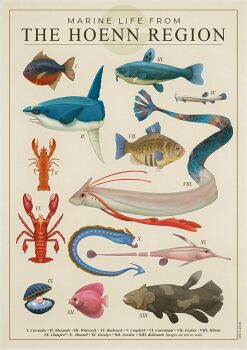 animal_focus barboach border carvanha clamperl commentary corphish crawdaunt english_commentary english_text feebas fish gen_3_pokemon gorebyss huntail information_sheet julio_lacerda label luvdisc milotic nintendo no_humans poke_ball_symbol pokemon realistic relicanth shark sharpedo whiscash