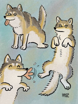 ^_^ afterimage animal_focus blowing_raspberry blue_background brown_fur closed_eyes colored_sclera commentary highres ka92 looking_at_viewer lying motion_lines no_humans on_back original paw_pose signature simple_background tongue tongue_out wolf yellow_sclera