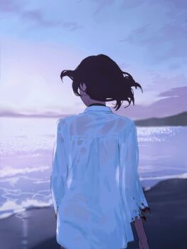 1girl ass beach black_choker black_hair blood blood_on_clothes chainsaw_man choker floating_hair from_behind highres ikanyoikanikan looking_afar ocean reze_(chainsaw_man) shirt short_hair solo torn_clothes torn_shirt upper_body wet wet_clothes wet_shirt white_shirt