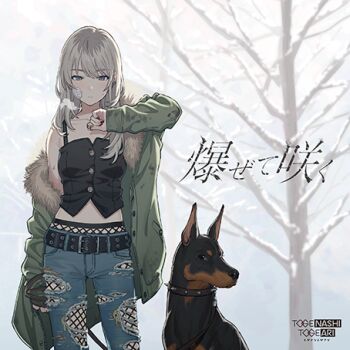 1girl album_cover arm_at_side bandaid bandaid_on_face bare_tree breasts closed_mouth collar cover denim dobermann dog earclip feet_out_of_frame fingernails fishnet_pantyhose fishnets fur-trimmed_jacket fur_trim girls_band_cry green_jacket grey_eyes grey_hair hand_up holding holding_leash jacket jeans kawaragi_momoka leash long_hair long_sleeves looking_at_viewer lowres midriff nail_polish official_art open_clothes open_jacket outdoors pants pantyhose red_nails second-party_source shirt sleeveless sleeveless_shirt sleeves_past_wrists small_breasts snow solo spiked_collar spikes standing teshima_nari torn_clothes torn_jeans torn_pants tree