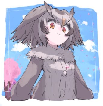 Rule 34 | 1girl, animal ears, bird ears, bird girl, blue sky, border, brown hair, cherry blossoms, cherry tree, closed mouth, cloud, commentary request, crossed bangs, falling leaves, feather-trimmed shirt, feather hair, from below, grey hair, grey shirt, highres, kemono friends, leaf, light smile, long sleeves, looking at viewer, looking down, medium hair, multicolored hair, naka (buttergirl 02), northern white-faced owl (kemono friends), notice lines, orange eyes, overlighting, shirt, sky, solo, streaked hair, tree, upper body, vignetting, white border