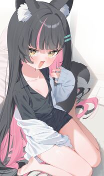 1girl animal_ear_fluff animal_ears bare_legs barefoot between_legs black_hair black_shirt blush collarbone collared_shirt colored_inner_hair commission fang flat_chest hair_ornament hairclip hand_between_legs highres hino_hinoki indie_virtual_youtuber jacket jitome long_hair long_sleeves looking_at_viewer multicolored_hair off_shoulder open_clothes open_mouth pink_hair shirt sitting skeb_commission skin_fang sleeves_past_wrists smile solo tail toes tofu1601 two-tone_hair very_long_hair virtual_youtuber wariza white_jacket yellow_eyes