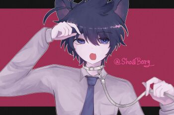 1boy akinashi_haru animal_collar animal_ears black_hair blue_eyes blue_necktie cat_boy cat_ears cat_loving_(cevio) collar collared_shirt commentary_request dress_shirt fang highres holding_own_leash leash male_focus necktie saihate_eki shirt shoaberry short_hair solo upper_body white_collar white_shirt