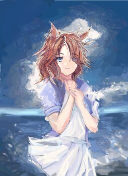 Rule 34 | 1girl, animal ears, blue eyes, breasts, brown hair, closed mouth, commentary request, hair between eyes, horse ears, horse girl, long hair, looking at viewer, mejiro palmer (umamusume), multicolored hair, no tail, pleated skirt, puffy short sleeves, puffy sleeves, purple sailor collar, purple shirt, sailor collar, sailor shirt, school uniform, shirt, short sleeves, skirt, smile, solo, streaked hair, tracen school uniform, umamusume, white hair, white skirt, yanagi wakana