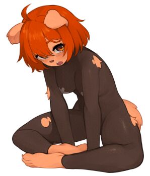 1girl :o adversarial_noise ahoge animal_ears barefoot black_bodysuit blush bodysuit breasts dog_ears dog_girl dog_tail furry furry_female looking_at_viewer medium_breasts open_mouth orange_eyes orange_hair original simple_background sitting solo tail teeth torn_bodysuit torn_clothes upper_teeth_only white_background yoako