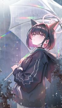 1girl absurdres animal_ears black_choker black_hair black_hoodie blue_archive cat_choker cat_ears cat_girl choker colored_inner_animal_ears colored_inner_hair extra_ears green_sailor_collar halo highres holding holding_umbrella hood hoodie kazusa_(blue_archive) looking_up multicolored_hair pink_hair pink_halo rain sailor_collar solo transparent transparent_umbrella umbrella yonago_miko