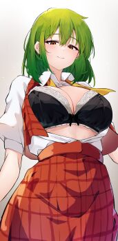 1girl absurdres black_bra blush bow bow_bra bra breasts commentary_request green_hair highres hira-san kazami_yuuka large_breasts looking_at_viewer medium_breasts neck_ribbon open_clothes open_shirt open_vest orange_eyes orange_skirt orange_vest plaid_clothes plaid_skirt ribbon shirt shirt_tucked_in simple_background skirt smile solo touhou underwear undone_neck_ribbon vest white_shirt yellow_ribbon