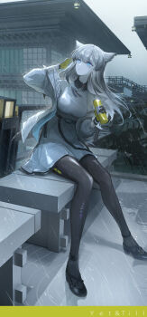 Rule 34 | 1girl, absurdres, animal ears, architecture, arknights, arknights: endfield, bare shoulders, bird ears, bird girl, black pantyhose, blue eyes, coat, commentary request, dress, east asian architecture, full body, gloves, grey hair, high heels, highres, long hair, long sidelocks, off shoulder, pantyhose, perlica (arknights), rain, sidelocks, sitting, sleeveless, sleeveless dress, solo, white coat, white dress, yanchiaitizao