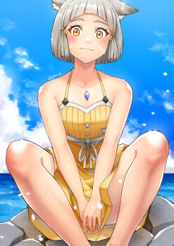 1girl absurdres animal_ears bare_arms cat_ears chest_jewel closed_mouth commentary day dress_swimsuit facial_mark feet_out_of_frame grey_hair highres horizon nia_(fancy_sundress)_(xenoblade) nia_(xenoblade) on_rock one-piece_swimsuit outdoors ribbed_swimsuit rock short_hair sitting smile solo spaghetti_strap swimsuit water xenoblade_chronicles_(series) xenoblade_chronicles_2 yellow_eyes yellow_one-piece_swimsuit you_nf