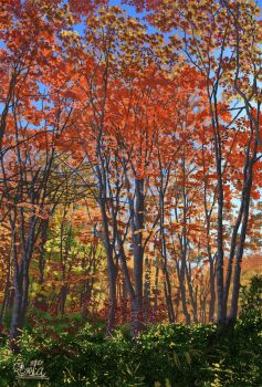 autumn autumn_leaves blue_sky commentary_request day forest leaf nature no_humans original outdoors scenery signature sky suupii tree