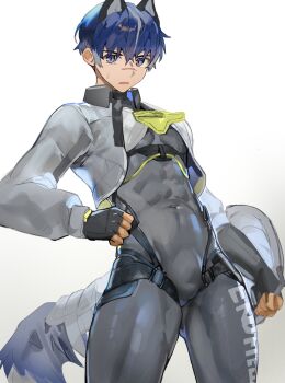 Rule 34 | 1boy, abs, animal ears, arknights, arknights: endfield, bodysuit, bulge, catcher (arknights), commentary, dog boy, dog ears, dog tail, english commentary, fingerless gloves, gloves, grey bodysuit, highres, itsme takk, looking at viewer, male focus, multicolored hair, navel, scar, scar on face, scar on nose, skin tight, streaked hair, sweatdrop, tail, toned, toned male, white background
