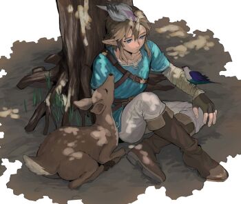 1boy animal animal_on_arm animal_on_head bird bird_on_arm bird_on_head blue_eyes blue_tunic boots brown_boots closed_mouth collarbone deer expressionless fingerless_gloves gloves gyou_chin link male_focus nintendo on_head outdoors pants pointy_ears sitting solo the_legend_of_zelda the_legend_of_zelda:_breath_of_the_wild tree tunic under_tree white_pants