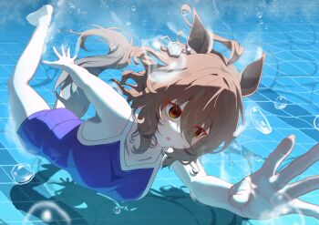 1girl absurdres agnes_tachyon_(umamusume) ahoge air_bubble animal_ears blue_one-piece_swimsuit blush breasts brown_hair bubble chemical_structure chinese_commentary clothing_cutout collarbone commentary competition_school_swimsuit earrings hair_between_eyes highres horse_ears horse_girl horse_tail jewelry medium_breasts medium_hair nanaken_(qijian23092715) one-piece_swimsuit parted_lips pool red_eyes school_swimsuit single_earring single_vertical_stripe solo swimming swimsuit tail tail_through_clothes tracen_swimsuit umamusume underwater