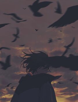 1boy bird black_bird black_hair black_jacket cloud crow floating_hair grey_eyes hair_between_eyes highres indigo_(indigo_aoi) jacket looking_at_viewer looking_back male_focus mayuzumi_kai mayuzumi_kai_(1st_costume) motion_blur multicolored_jacket nijisanji open_clothes open_jacket orange_sky outdoors overcast parted_bangs protected_link short_hair sky solo sunset too_many too_many_birds turning_head two-tone_jacket upper_body virtual_youtuber white_jacket