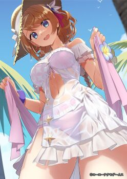 1girl artist_request atelier_(series) atelier_resleriana bikini bikini_under_clothes blue_eyes blue_sky braid breasts brown_hair brown_hat commentary_request copyright_notice cowboy_shot day dress flower from_below hat highres holding long_hair looking_at_viewer medium_breasts navel official_art open_mouth outdoors pink_bikini purple_flower resna_sternenlicht resna_sternenlicht_(pretty_summer) second-party_source sky smile solo sun_hat swimsuit white_dress