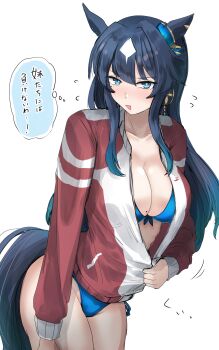 Rule 34 | 1girl, absurdres, animal ears, bikini, bikini under clothes, blue bikini, blue eyes, blue hair, breasts, cleavage, commentary, ear covers, front-tie bikini top, front-tie top, hair between eyes, highres, horse ears, horse girl, horse tail, jacket, jacket over swimsuit, kanikama25, large breasts, leaning forward, long hair, looking at viewer, mole, mole under eye, multicolored hair, open clothes, open jacket, red jacket, simple background, single ear cover, solo, swimsuit, tail, track jacket, umamusume, verxina (umamusume), white background, white hair