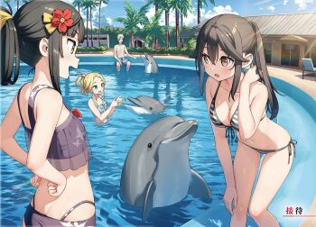 1boy bikini black_hair blonde_hair blue_eyes blush breasts brown_eyes brown_hair cleavage cowboy_shot dolphin elsa_muller_(sasaki_to_p-chan) flower front-tie_bikini_top front-tie_top futarishizuka_(sasaki_to_p-chan) green_eyes hair_flower hair_ornament hand_in_own_hair hands_on_own_hips kantoku large_breasts long_hair multiple_girls open_mouth otonari-san_(sasaki_to_p-chan) ponytail pool poolside sasaki_to_p-chan see-through_clothes side-tie_bikini_bottom string_bikini swimsuit thighs upper_body water white_hair yellow_eyes