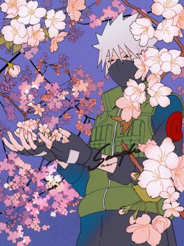 1boy artist_name black_eyes black_gloves black_mask black_pants black_shirt blue_background cherry_blossoms cowboy_shot fingerless_gloves flak_jacket flower gloves green_vest grey_hair hair_between_eyes half-closed_eyes hatake_kakashi heterochromia highres jacket looking_at_viewer male_focus mask mouth_mask naruto_(series) pants pink_flower red_eyes saarcheung sample_watermark scar scar_across_eye scar_on_face sharingan shirt short_hair solo spiked_hair vest watermark