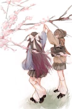 Rule 34 | 2girls, alternate costume, black hair, blazer, bow, branch, brown hair, cherry blossoms, columbina (genshin impact), commentary, falling petals, flower, genshin impact, hair ornament, highres, holding hands, jacket, long hair, multicolored hair, multiple girls, petals, pink flower, pink petals, pleated skirt, purple hair, purple streaks, ribbon, sandrone (genshin impact), scarf, school uniform, short hair, shoujolei, skirt, socks, tracen school uniform, tree, two-tone hair, untranslatable commentary, very long hair, yuri