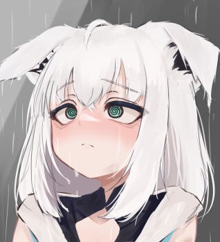 1girl @_@ absurdres animal_ears blue_eyes closed_mouth collarbone grey_background highres hololive looking_up lucien_000298 medium_hair open_clothes portrait rain sad shirakami_fubuki simple_background solo solo_focus upper_body virtual_youtuber white_hair