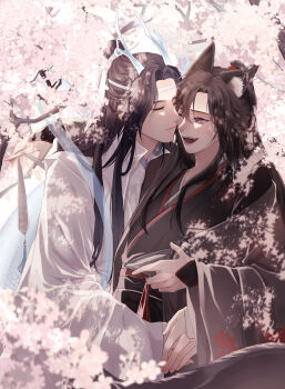 2boys absurdres alcohol alternate_hairstyle animal_ear_fluff animal_ears black_hair black_hanfu blue_shawl blurry branch brown_hair cherry_blossoms chinese_clothes closed_eyes closed_mouth coat couple cup dappled_sunlight day dragon_boy dragon_horns dragon_tail eastern_dragon_horns eastern_dragon_tail fangs flower fox_boy fox_ears fox_tail grey_coat half_updo hanfu headband highres holding holding_cup horns hug kemonomimi_mode kiss kissing_cheek koma_hase lan_wangji long_hair long_sleeves looking_at_another male_focus modao_zushi multiple_boys off_shoulder official_alternate_costume one_eye_closed open_clothes open_coat open_mouth outdoors pink_flower ponytail purple_eyes red_sash robe sakazuki sash shawl sidelocks sitting smile sunlight tail tassel teeth topknot tree upper_body wei_wuxian wei_wuxian_(yiling_laozu) white_hanfu white_headband wide_sleeves xiao_guan_(headdress) yaoi