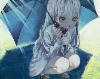 1girl aegyo_sal blue_eyes commentary_request dress eyelashes flower grass highres holding holding_umbrella loafers long_hair long_sleeves monou_pico original parasol shoes solo squatting sunlight umbrella white_dress white_hair