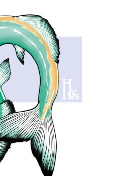 Rule 34 | artist logo, artist name, back cover, blue background, cover, fins, highres, kajiyama hiroshi, kneeless mermaid, logo, mermaid, monster girl, original, two-tone background, white background