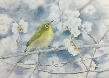 animal animal_focus bird flower full_body highres looking_to_the_side miyuchan777 no_humans on_branch original painting_(medium) realistic traditional_media tree watercolor_(medium) white_flower