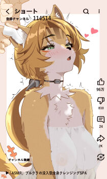 1girl absurdres animal_ear_fluff animal_ears blush breasts cat_ears cat_tail covered_erect_nipples ear_cleaning fake_phone_screenshot fake_screenshot furry furry_female green_eyes heart highres large_breasts long_hair motion_lines open_mouth pulchra_fellini serval tail tail_wagging twitching uroichi zenless_zone_zero