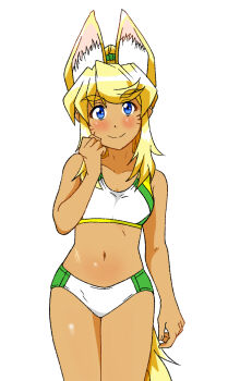 1girl animal_ears artist_request blonde_hair blue_eyes blush gym_shorts hand_up highres liru midriff navel renkin_san-kyuu_magical_pokaan shorts smile solo tail white_background wolf_ears wolf_girl wolf_tail