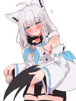 1girl absurdres ahoge animal_ears aqua_eyes black_shorts black_thighhighs blush breasts cleavage closed_mouth commentary_request fox_ears fox_girl fox_tail grey_hair highres holding_own_tail hololive hood hoodie long_hair medium_breasts shirakami_fubuki shirakami_fubuki_(1st_costume) shorts solo tail tepenchi thigh_strap thighhighs virtual_youtuber white_background white_hoodie white_sleeves zettai_ryouiki