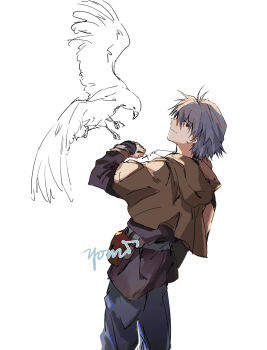 Rule 34 | 1boy, absurdres, alternate costume, bird, closed mouth, commentary request, from behind, grey hair, grey pants, hawk, highres, hood, hood down, looking at viewer, male focus, nagisa kaworu, neon genesis evangelion, pants, red eyes, short hair, signature, simple background, solo, white background, yorumi1117
