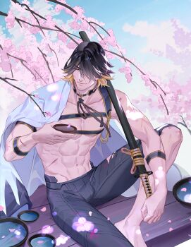 1boy abs bare_pectorals black_hair blonde_hair cherry_blossoms chest_harness commentary_request cup facial_hair feet_out_of_frame hair_over_one_eye harness highres japanese_clothes katana large_pectorals leather male_focus multicolored_hair muscular muscular_male nagasone_kotetsu navel ncww_rinichi nipples pants pectorals sakazuki short_hair sitting solo stubble sword torn_clothes torn_pants touken_ranbu two-tone_hair uchigatana weapon yellow_eyes