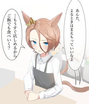 1girl animal_ears apron black_apron blue_eyes blush brown_hair collared_shirt commentary_request ear_ornament flower_shop hair_between_eyes hands_on_table highres horse_ears horse_girl horse_tail long_hair_between_eyes long_sleeves looking_at_viewer narita_taishin_(umamusume) open_mouth parted_bangs shirt shop short_hair solo solokitsune speech_bubble sweatdrop tail tail_wagging translated umamusume upper_body white_shirt