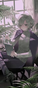 Rule 34 | 1boy, absurdres, bags under eyes, black eyes, book, chair, curtains, dungeon meshi, elf, grey hair, highres, holding, holding book, indoors, jacket, jacket on shoulders, lazy eye, long sleeves, looking at viewer, male focus, maratang, mithrun, notched ear, on chair, pants, plant, pointy ears, potted plant, short hair, sitting, solo, sweater, turtleneck, turtleneck sweater, uneven eyes, wavy hair, window