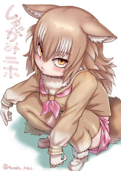 1girl animal_ears blush brown_hair brown_sweater brown_thighhighs ears_down from_above fur_collar gradient_thighhighs hair_between_eyes highres japanese_wolf_(kemono_friends) kemono_friends kosai_takayuki long_hair long_sleeves looking_at_viewer looking_up multicolored_hair neckerchief orange_eyes plaid_clothes plaid_neckerchief plaid_skirt pleated_skirt purple_neckerchief purple_skirt sailor_collar school_uniform serafuku shoes sidelocks skirt solo squatting sweater tail thighhighs translation_request white_fur white_hair white_shoes white_thighhighs wolf_ears wolf_girl wolf_tail zettai_ryouiki