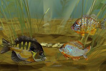 alternate_species animal_focus commentary english_commentary fish highres junbuug light_rays no_humans original painterly scenery subsurface_scattering