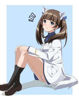 1girl animal_ears black_shoes black_shorts blue_background blue_eyes blue_shirt blush brave_witches brown_hair cat_ears cat_girl cat_tail georgette_lemare highres jacket long_hair military military_uniform naguramu no_pants shirt shoes shorts simple_background sitting smile socks tail twintails white_jacket world_witches_series