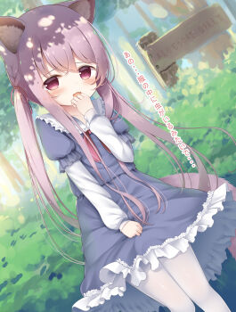 1girl animal_ears blue_dress blush bush cat_ears clothes_grab dress dutch_angle fang forest frilled_dress frills furrowed_brow hair_between_eyes hair_tie hand_to_own_mouth highres japanese_text loli long_hair long_sidelocks long_sleeves looking_at_viewer nature open_mouth original outdoors pantyhose pink_eyes pink_hair pov psyche3313 sidelocks sign translation_request twintails very_long_hair white_pantyhose