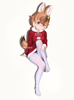 Rule 34 | 1girl, animal ears, beleven, blush, bow, brown hair, christmas, dhole (kemono friends), dog ears, dog girl, dog tail, dress, full body, fur collar, fur trim, hair bow, hair ornament, highres, kemono friends, kemono friends 3, leg up, long sleeves, multicolored hair, no shoes, official alternate costume, pantyhose, red dress, santa costume, short hair, sitting, solo, star (symbol), star hair ornament, tail, white background, white fur, white hair, white pantyhose, yellow eyes
