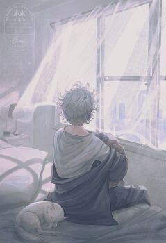 1boy absurdres alternate_costume blue_jacket blue_pants ca_mei cat curtains facing_away fuwa_minato grey_hair hashtag-only_commentary highres indoors jacket lamp light_particles male_focus messy_hair nijisanji on_bed pants see-through_curtains shirt sitting solo virtual_youtuber white_shirt window