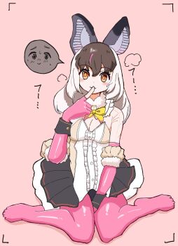 1girl animal_ears bat_ears bat_girl brown_eyes brown_hair brown_long-eared_bat_(kemono_friends) commentary_request elbow_gloves extra_ears fingerless_gloves full_body gloves grey_hair highres kemono_friends kemono_friends_v_project leotard lepus_(qw_ude_2nd) long_hair looking_at_viewer microphone multicolored_hair pantyhose pink_background simple_background sitting skirt solo streaked_hair virtual_youtuber