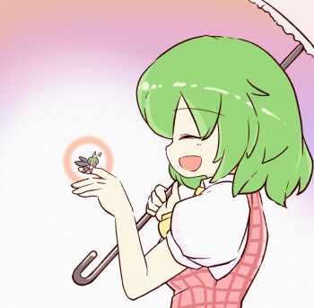 2girls alternate_size antennae arthropod_girl ascot bilingual_commentary closed_eyes collared_shirt commentary english_commentary glowing green_hair highres holding holding_umbrella insect_wings kazami_yuuka korean_commentary mini_person minigirl mirae_somang mixed-language_commentary multiple_girls open_mouth person_on_hand plaid_clothes plaid_vest puffy_short_sleeves puffy_sleeves shirt short_sleeves sideways_mouth smile touhou umbrella vest white_shirt wings wriggle_nightbug yellow_ascot